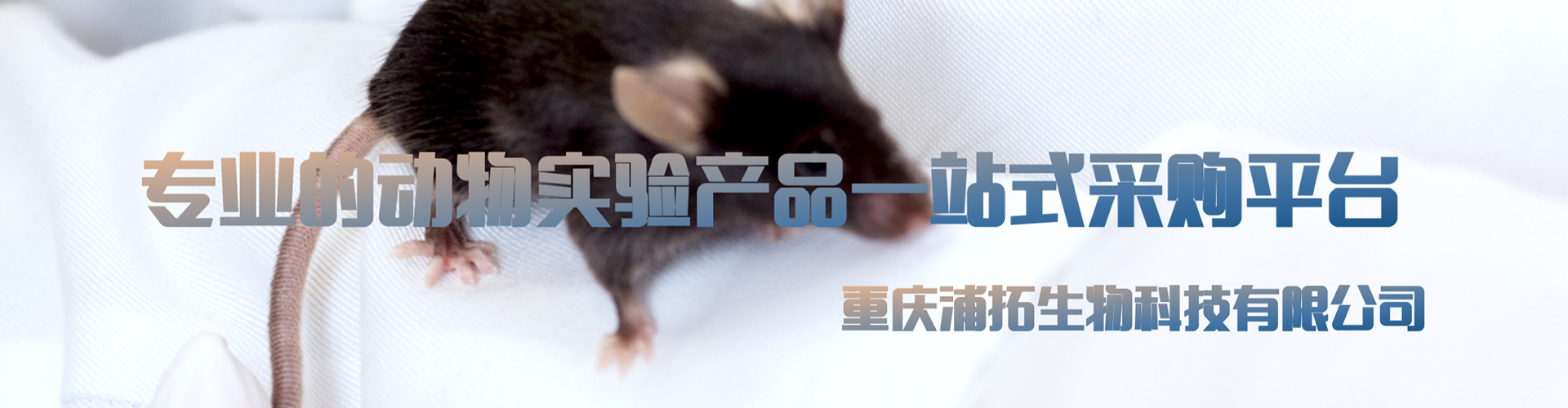 88858cc永利官网